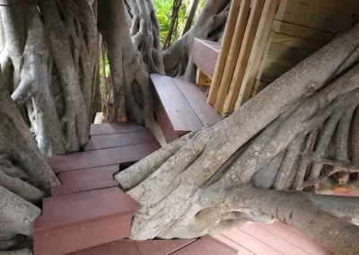 Construction Services (2)